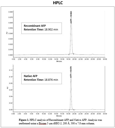 rec-b-hcg-sds-page.jpg rec-b-hcg-sds-page.jpg